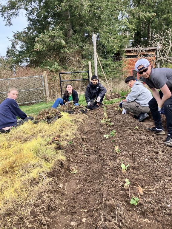 Brentwood student volunteers weeding and offering yard work on Service Day