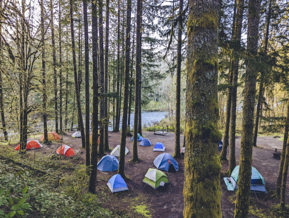 Tents at a campsite in the Cowichan Valley
