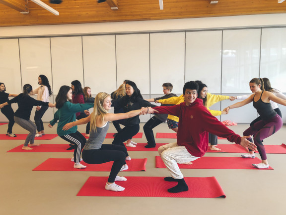 Yoga students in class balancing in pairs