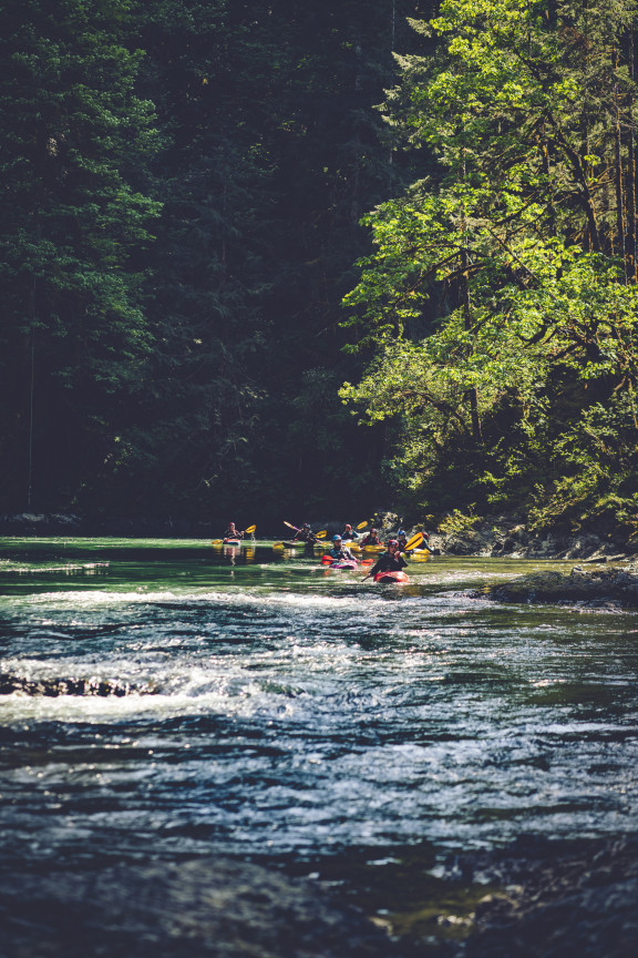 A group of kayakers on the river