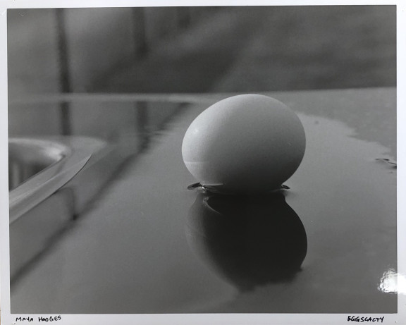 A photo of an egg siting in water