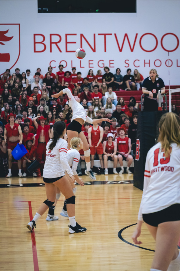 A volleyball player spiking the ball