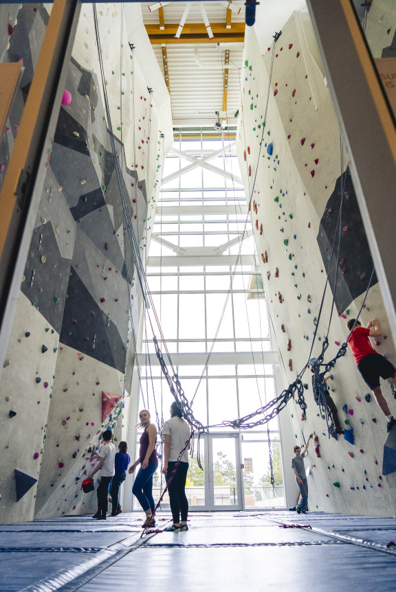 The two walls of the climbing gym