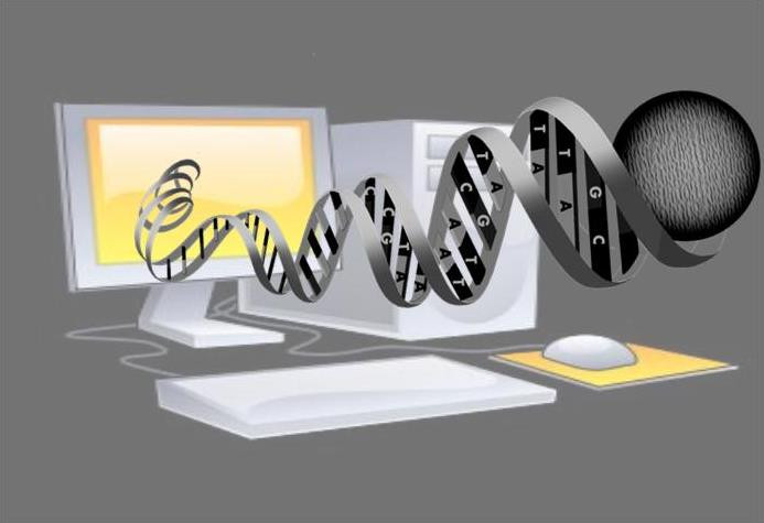 How Can Computers Analyze DNA and Proteins? A Primer on Genomic Signal Processing