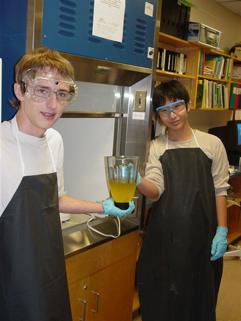Biodiesel