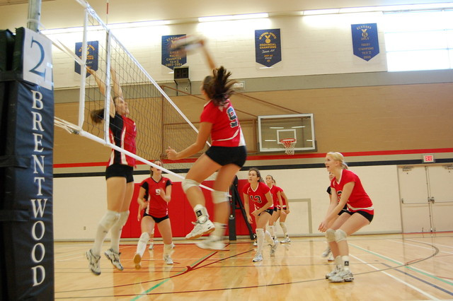 Club Volleyball Season Update