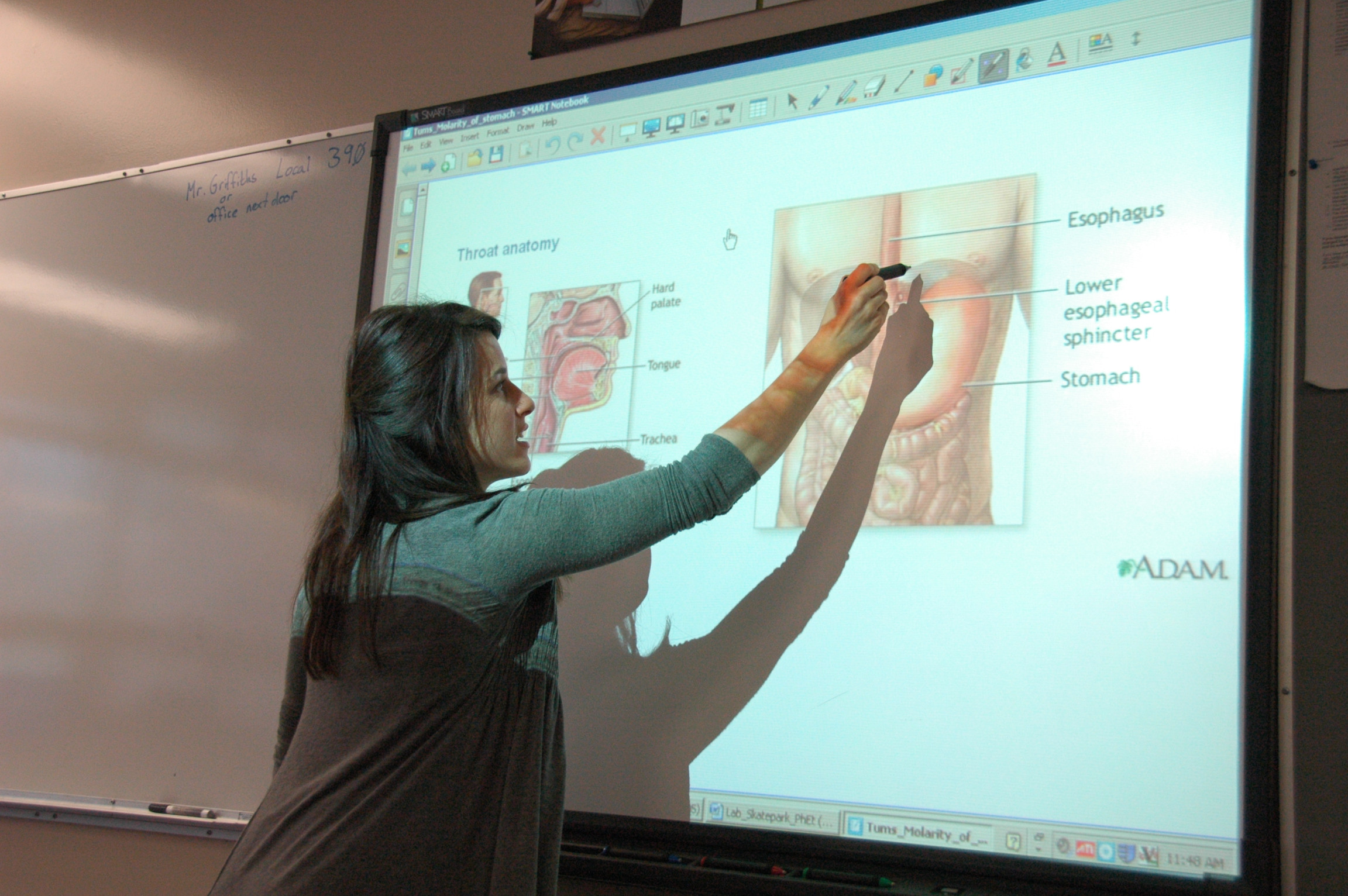 Teaching and Technology