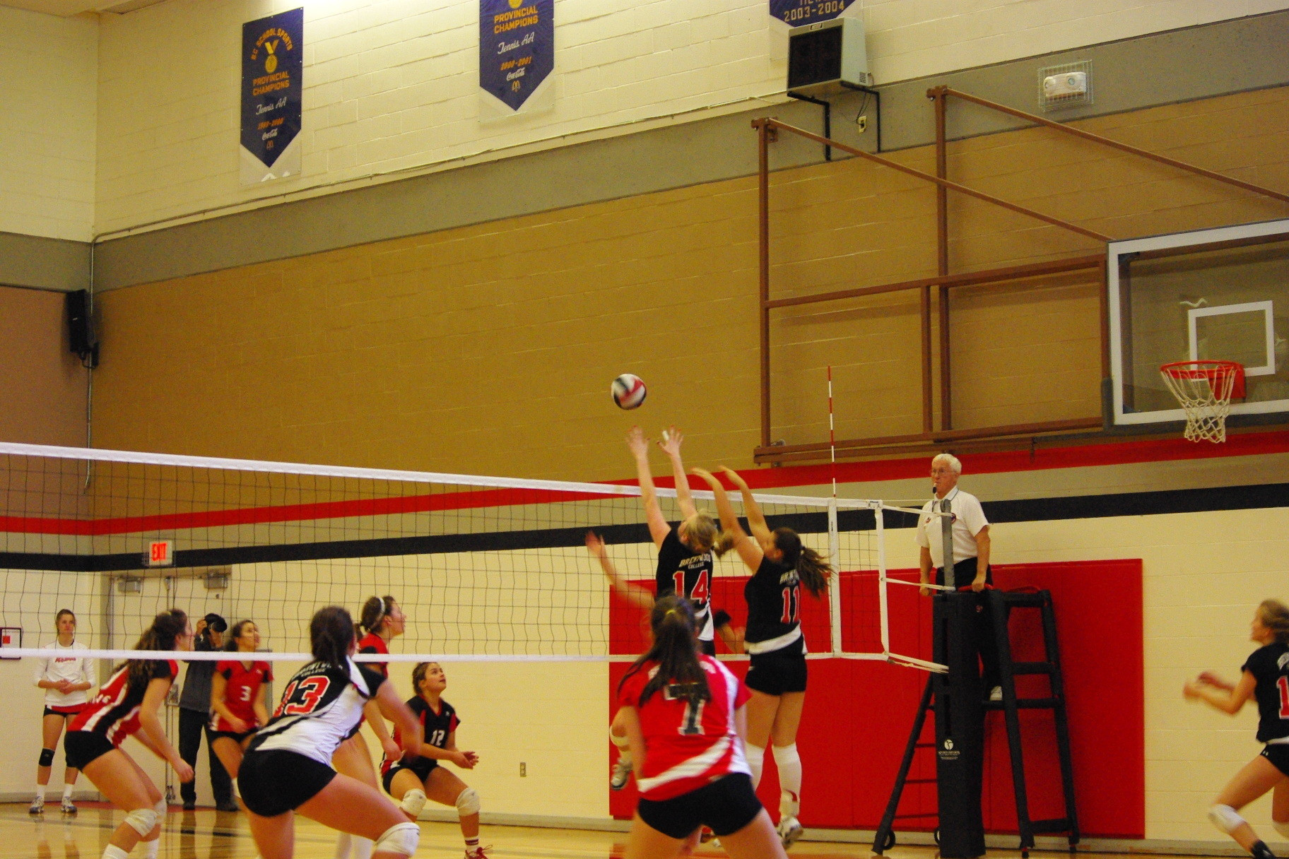 Gold for Brentwood Volleyball Team!