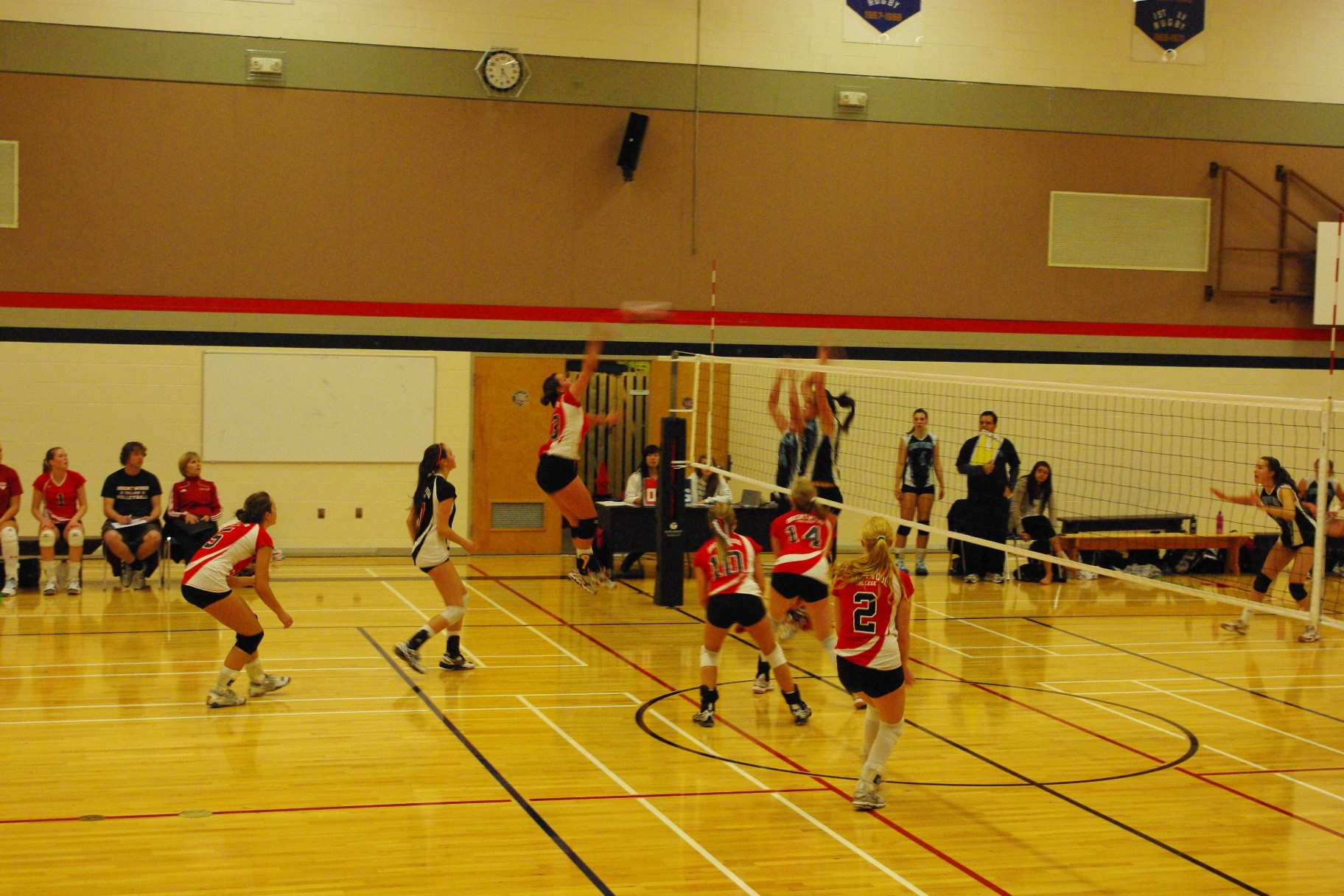 Showcase Volleyball