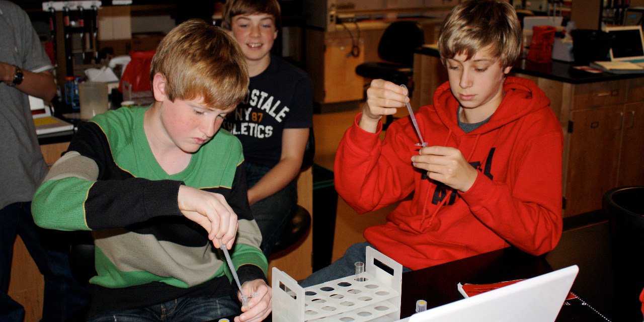 Science 9 Extracts DNA