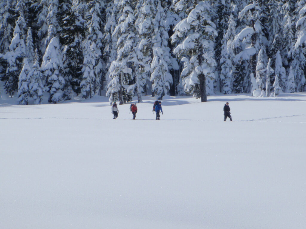 Winter Camping with ODP