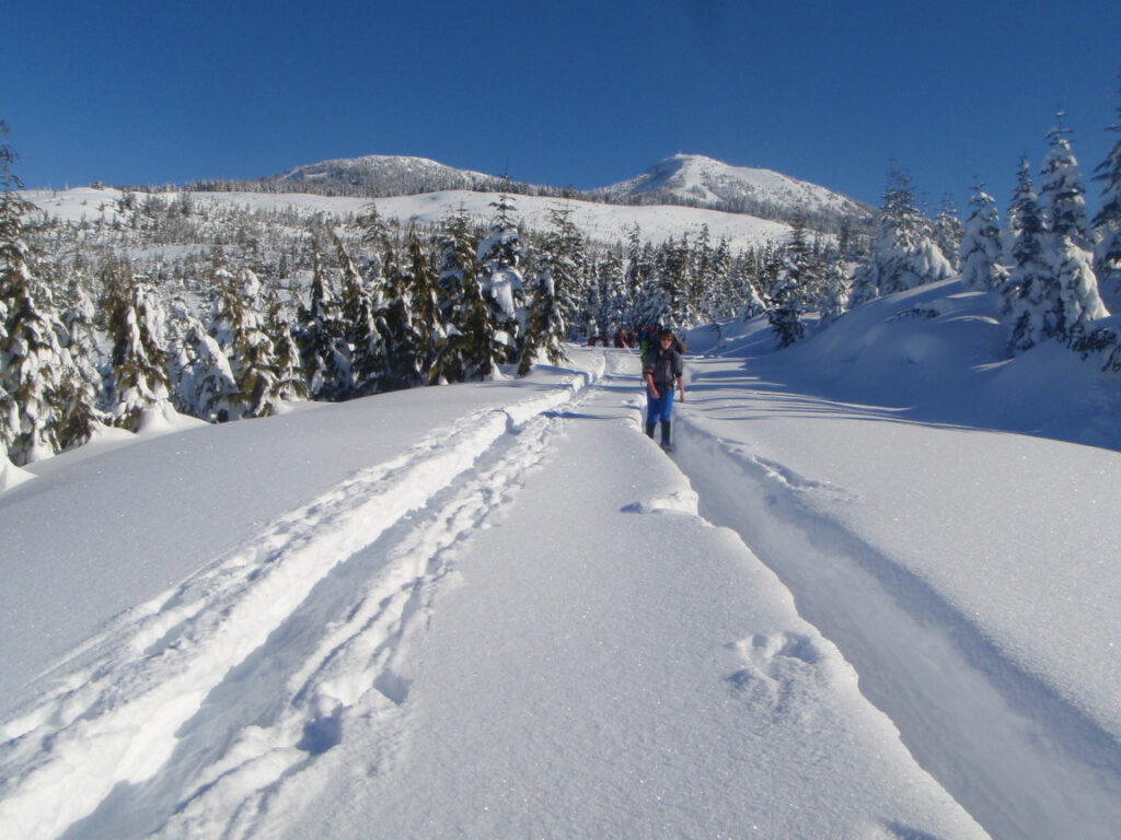 Winter Camping with ODP
