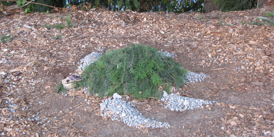 Environmental Art Hits the Dirt