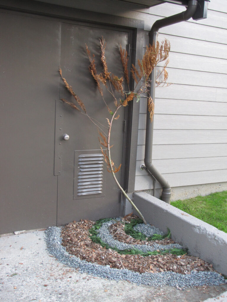Environmental Art Hits the Dirt