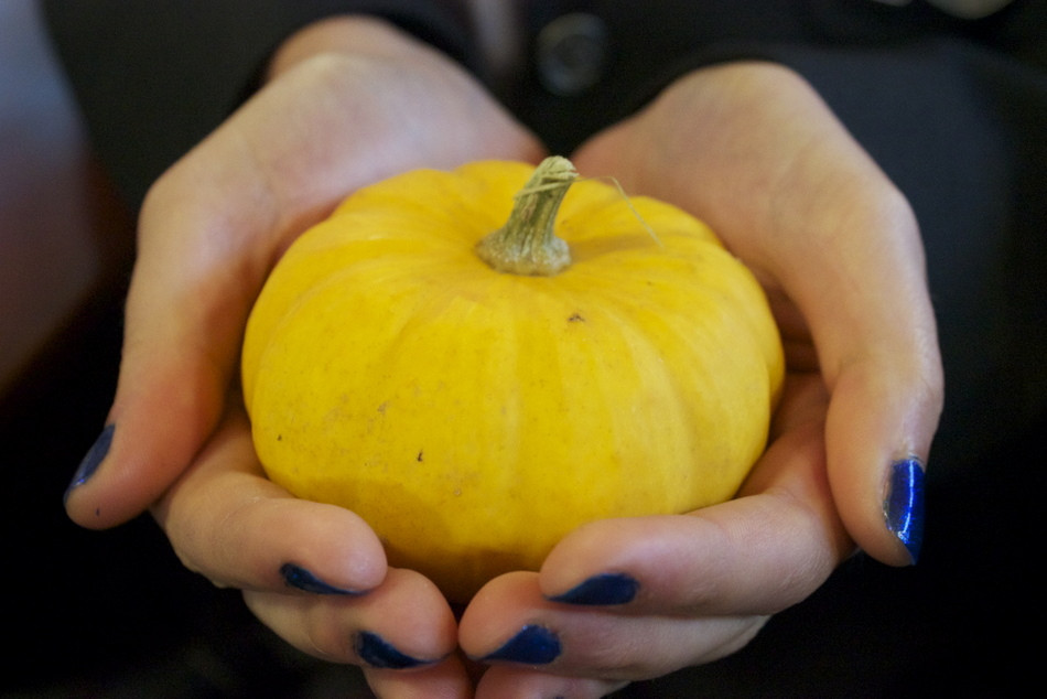 Thanksgiving: Gobble, Gobble, Turkey Lovers