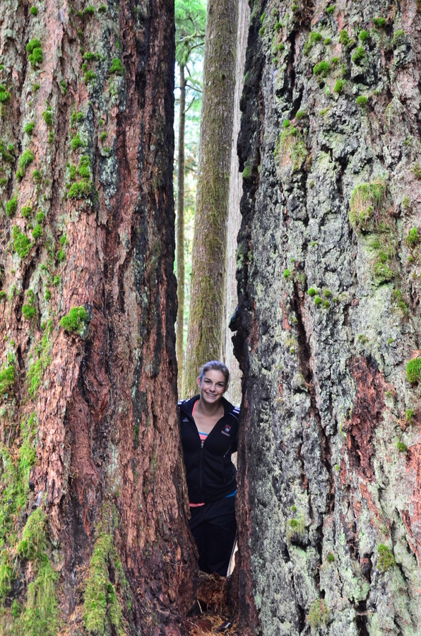 The Koksilah Hike