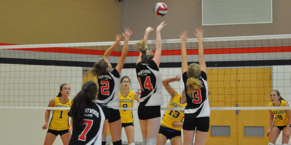 Senior Girls Grab I.S.A. Gold