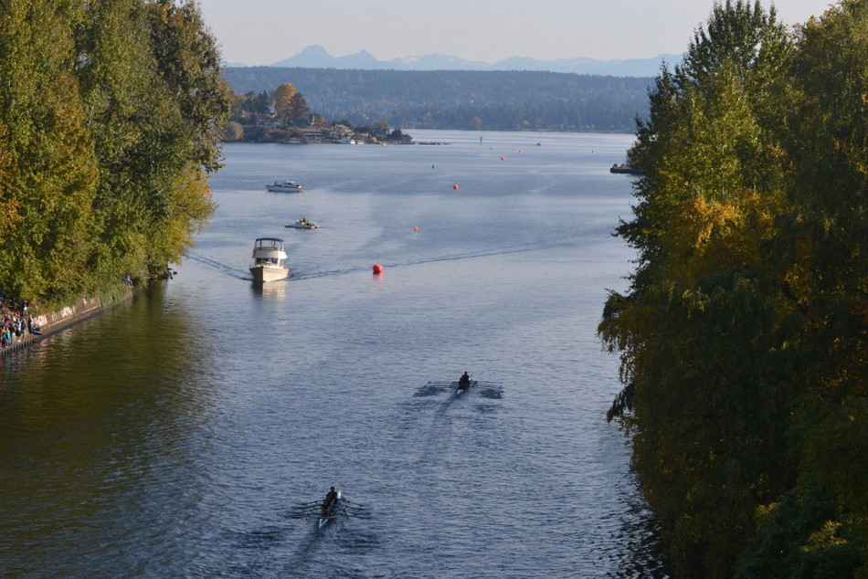Seattle's Head of the Lake