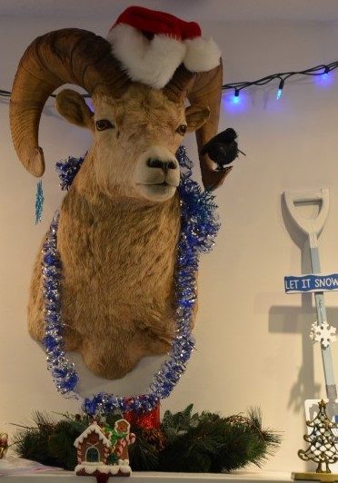 A Very Privett Christmas