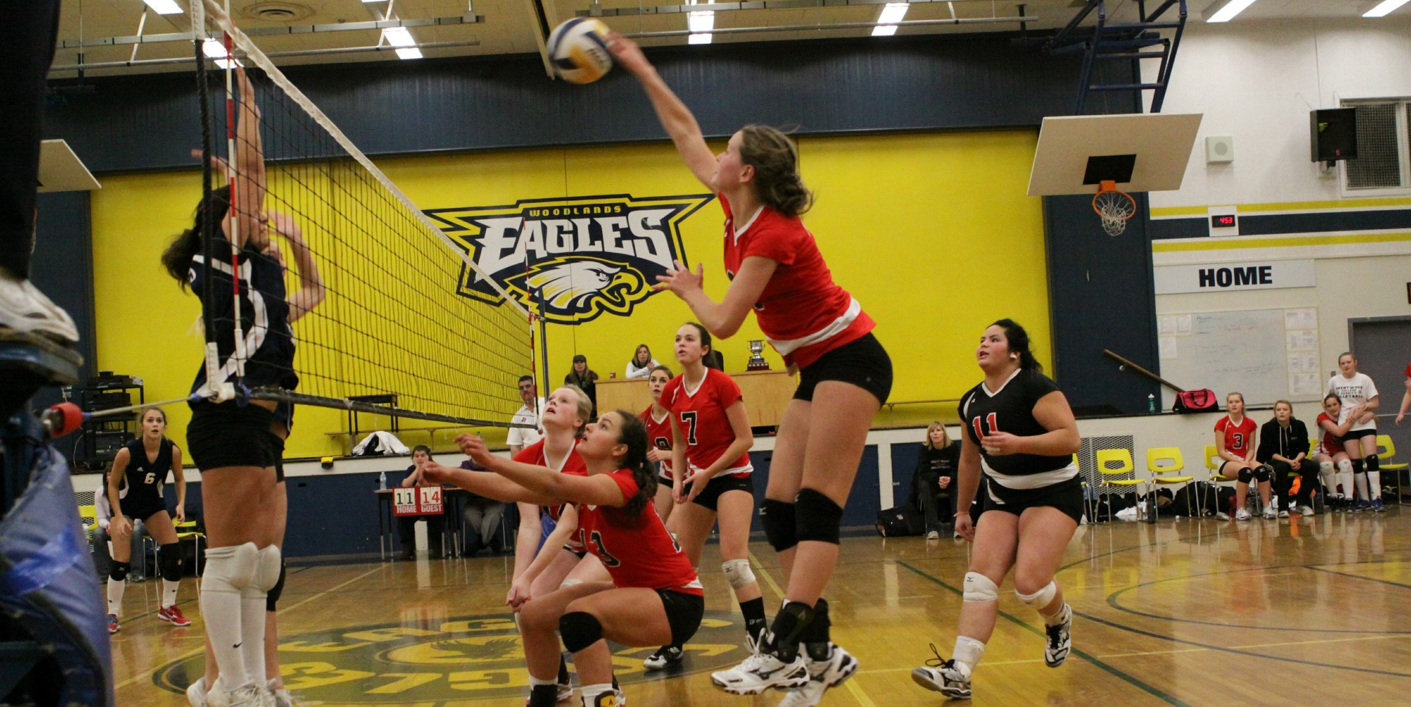 Sr. Volleyball Earns Berth at Provincials