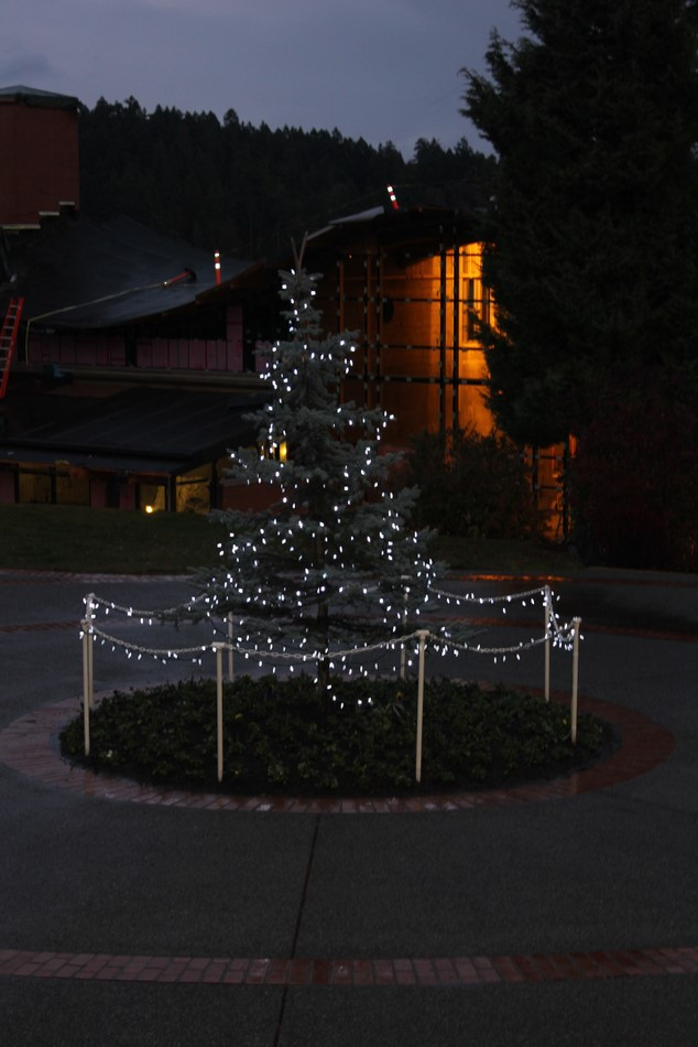Thirty Days Until…Christmas in November?
