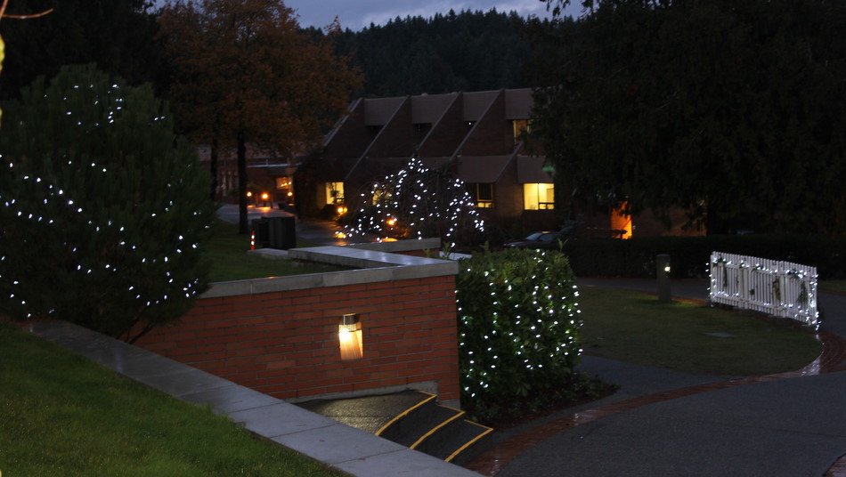 Thirty Days Until…Christmas in November?