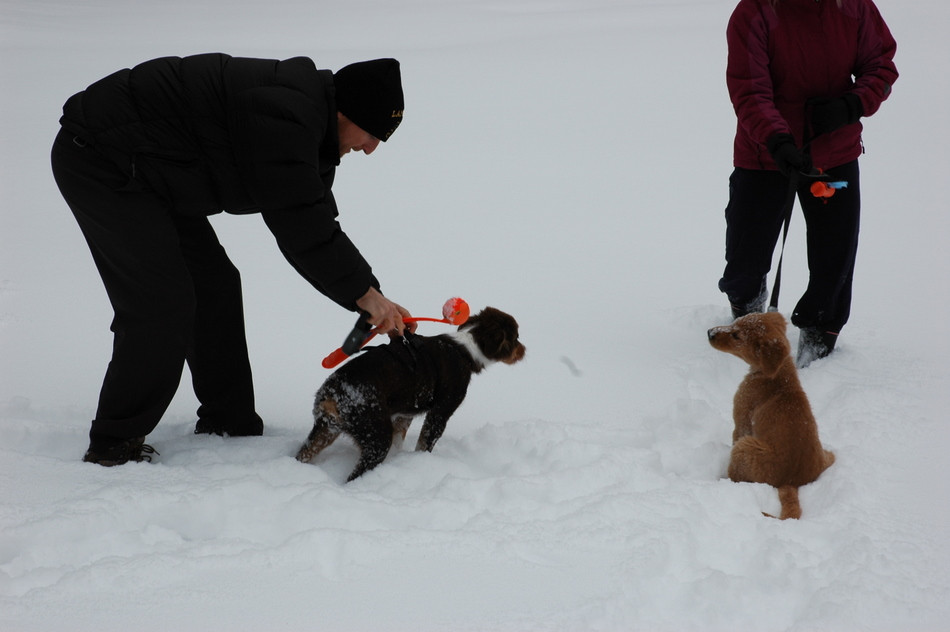 Snow Day