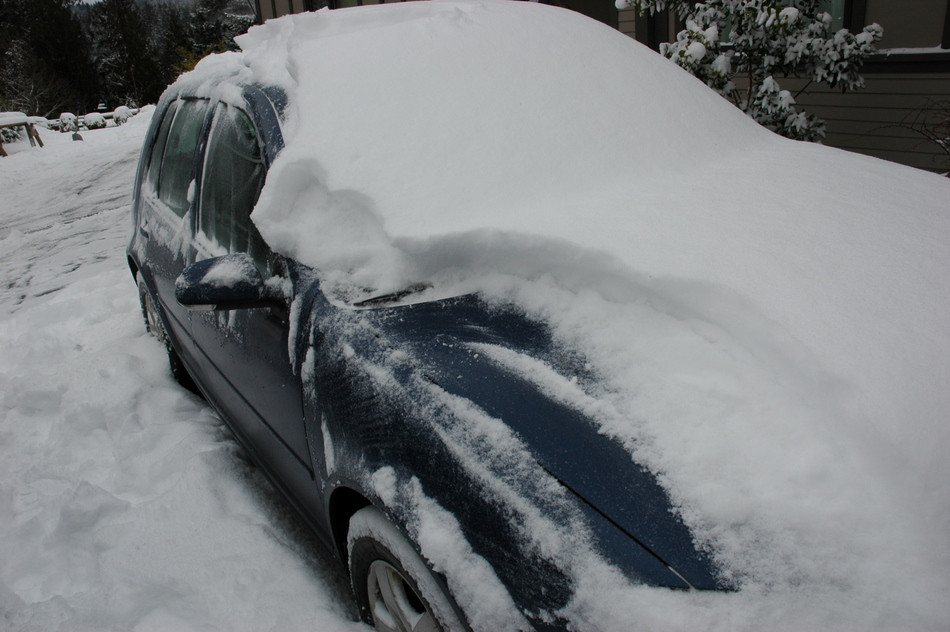 Snow Day