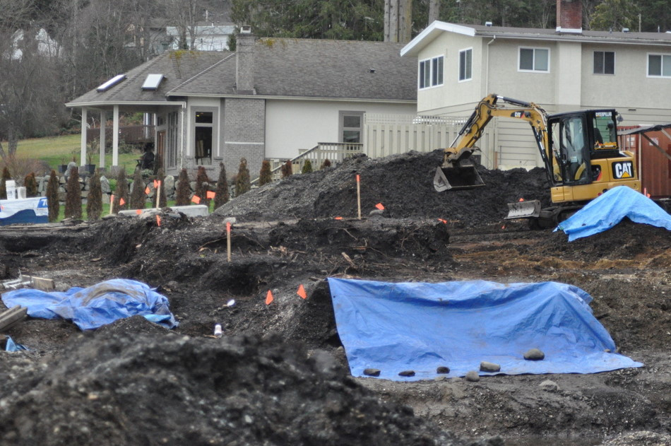 Bones Block Construction