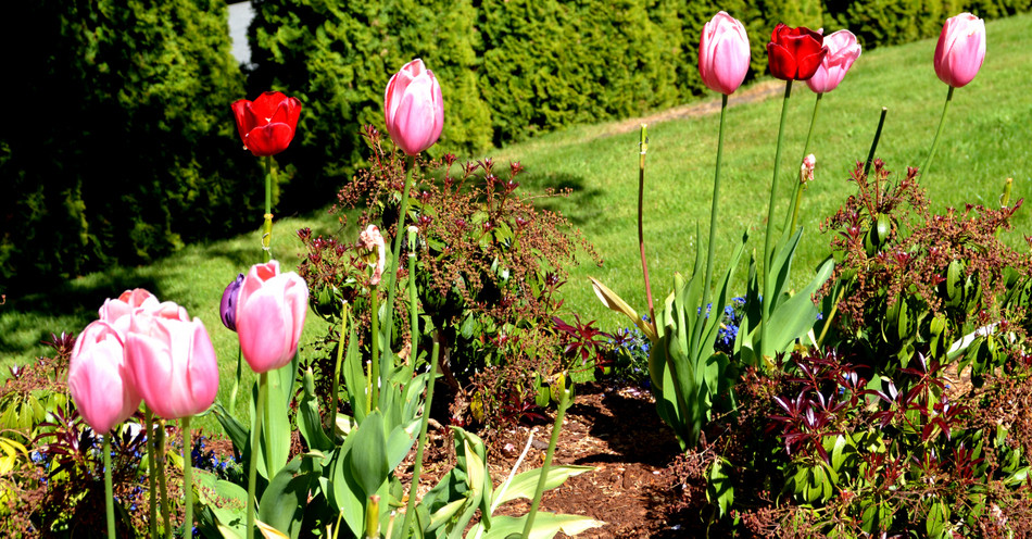 Spring has Sprung!
