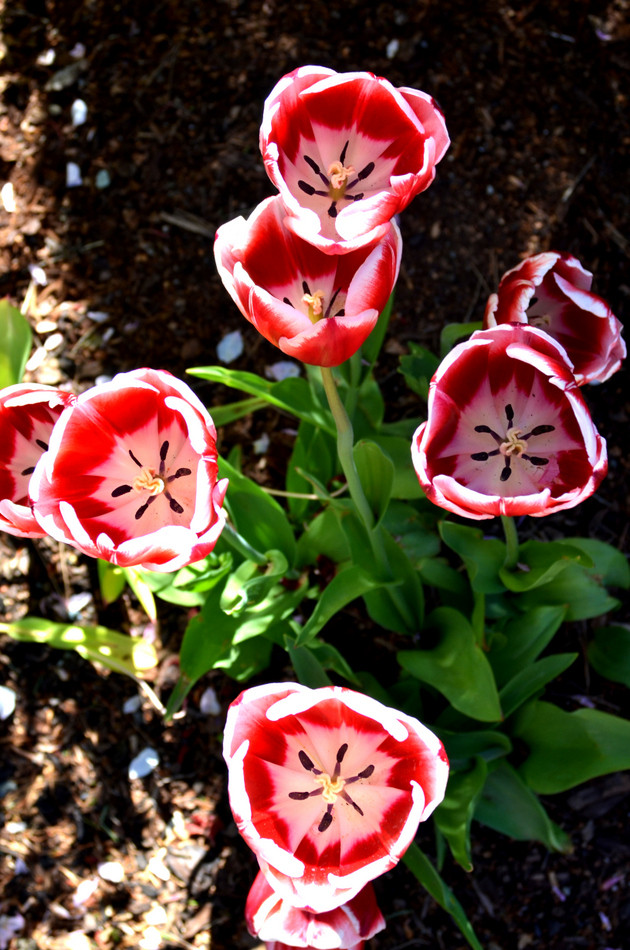 Spring has Sprung!