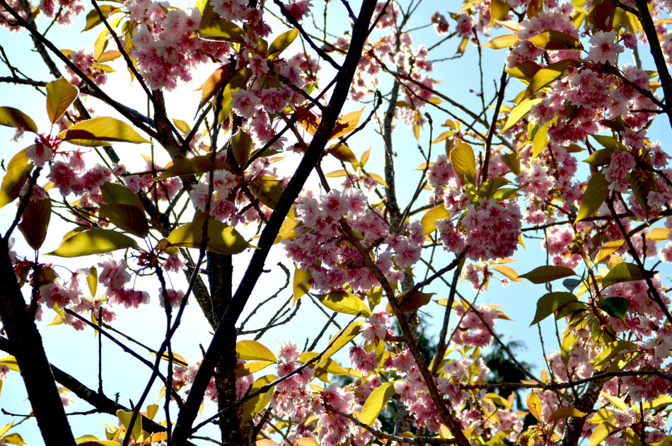 Spring has Sprung!