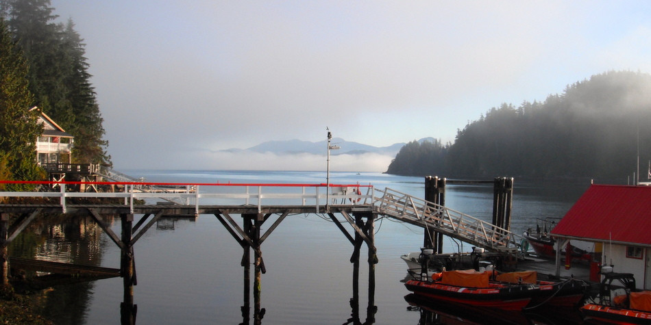 Bamfield: Where Biology Comes to Life