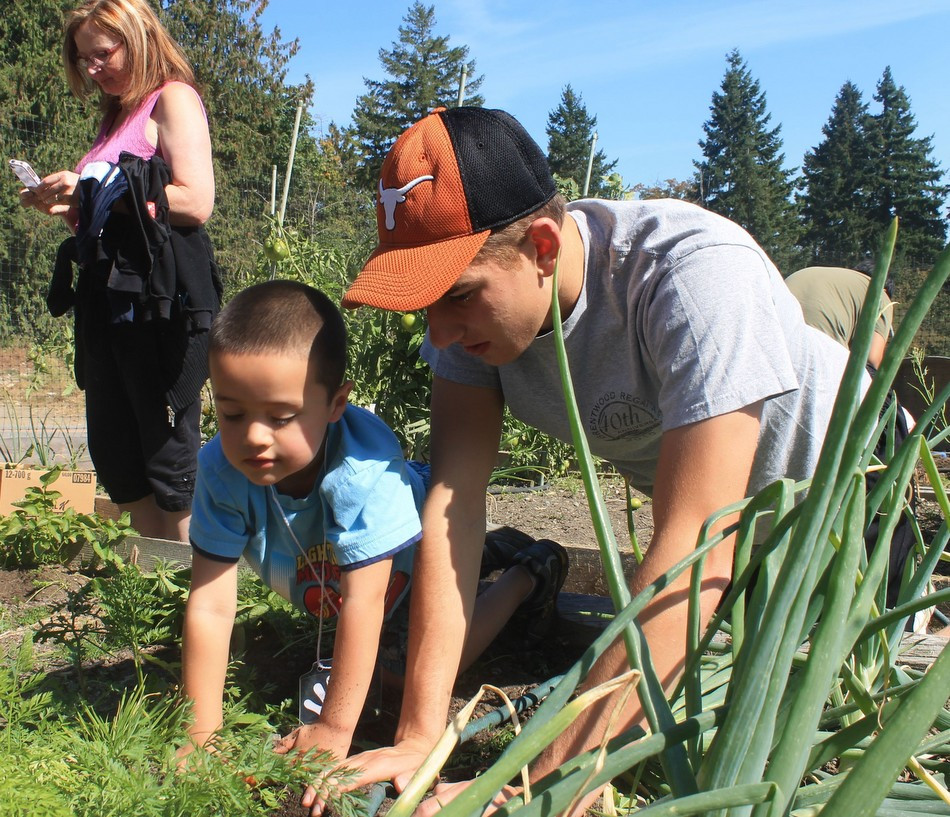 Cultivating Curiosity