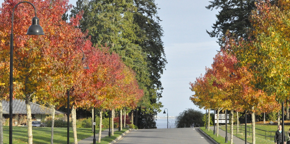 Sunny in November