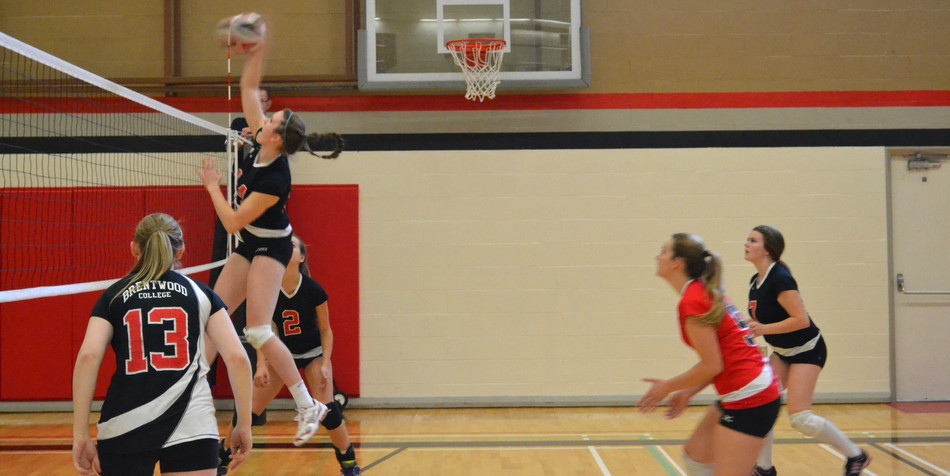 Senior Volleyball Nets Island Berth
