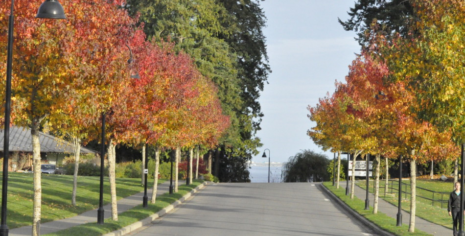 A Brentwood November