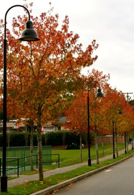 A Brentwood November