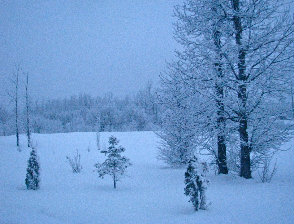 A Northern Perspective