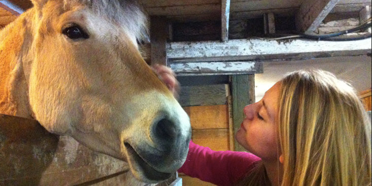 Horsing Around: Reflections on the Cowichan Therapeutic Riding Association
