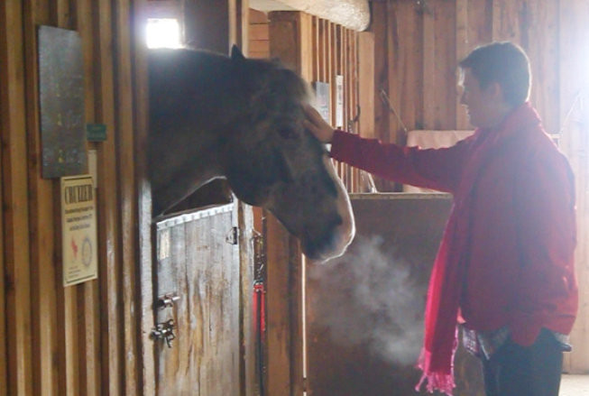 Horsing Around: Reflections on the Cowichan Therapeutic Riding Association