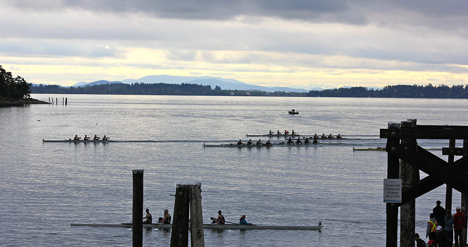 43rd Brentwood Regatta