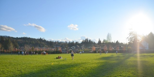 A Sunny Saturday