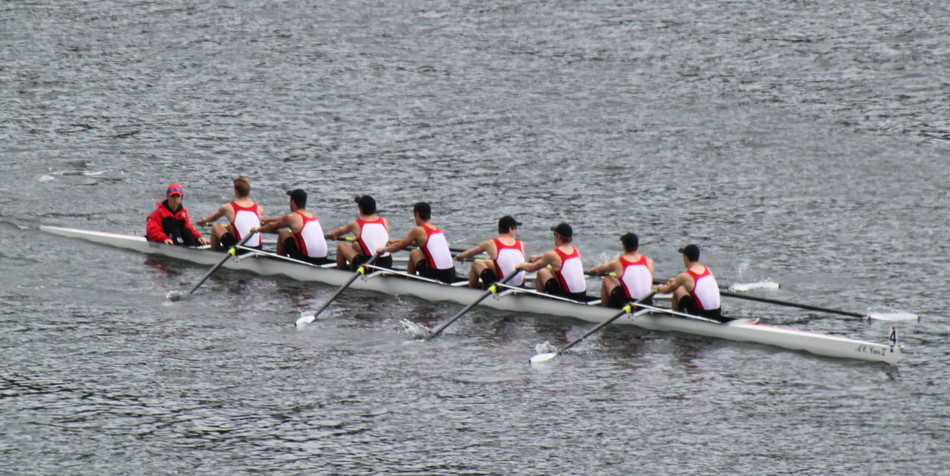 Early Morning Rowing