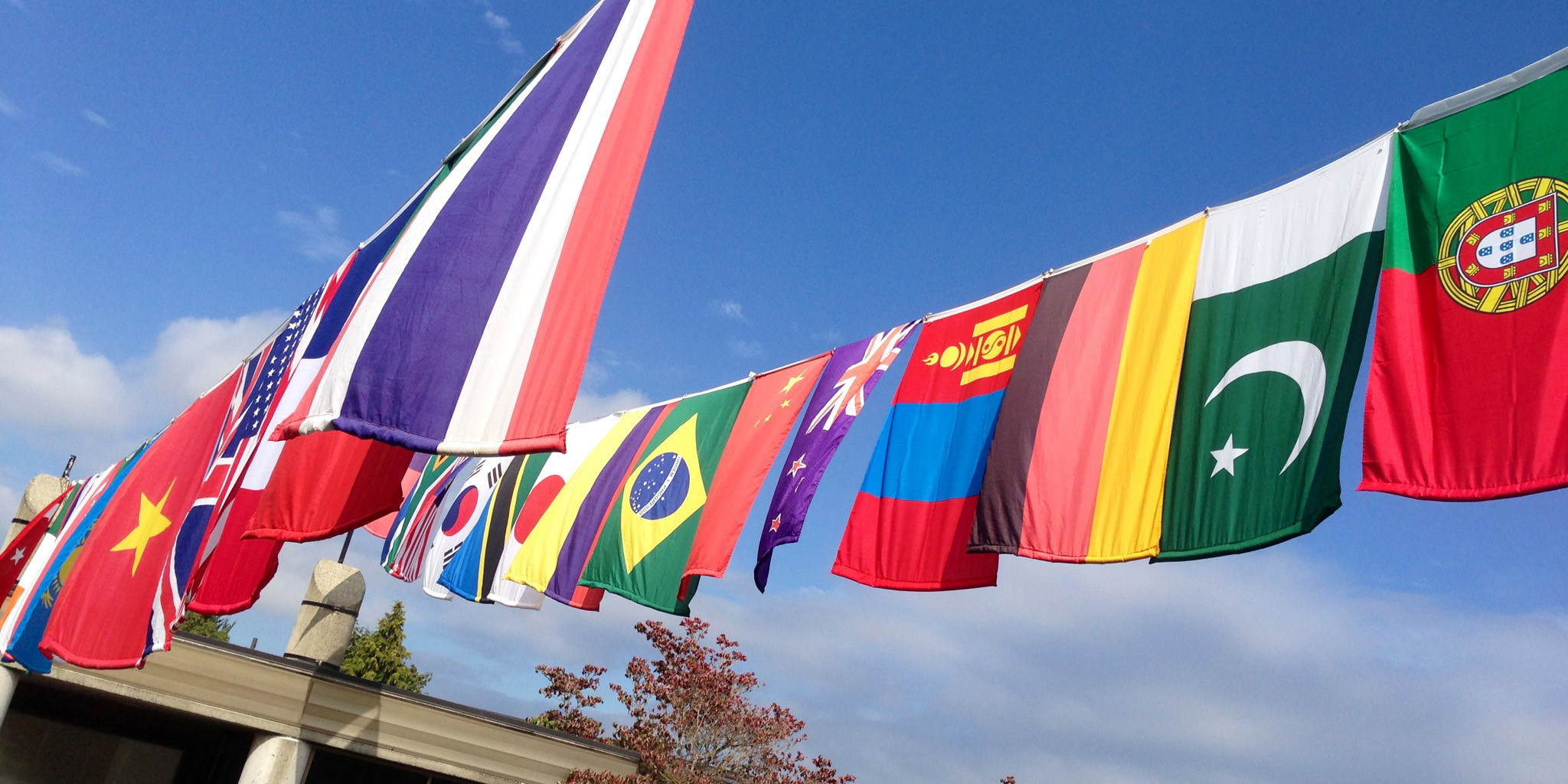 Where the World Comes to School 1