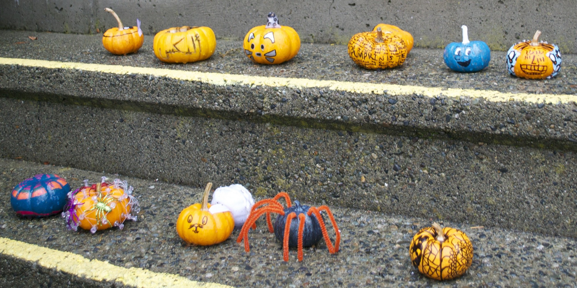 Mini Masterpieces: Alex House Pumpkin Decorating
