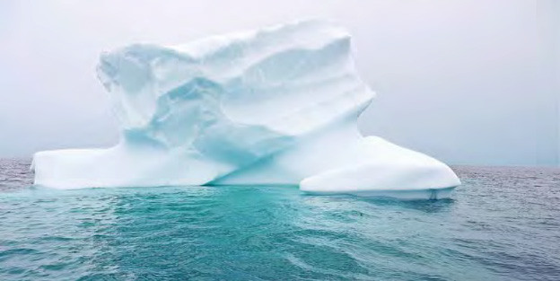 Morton on Torngat