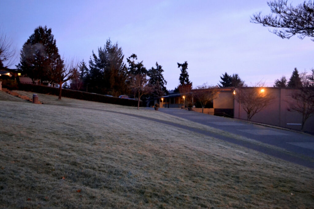Winter Wonderings