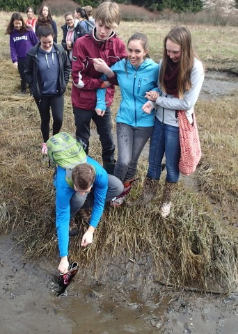 Mucking About at Goldstream