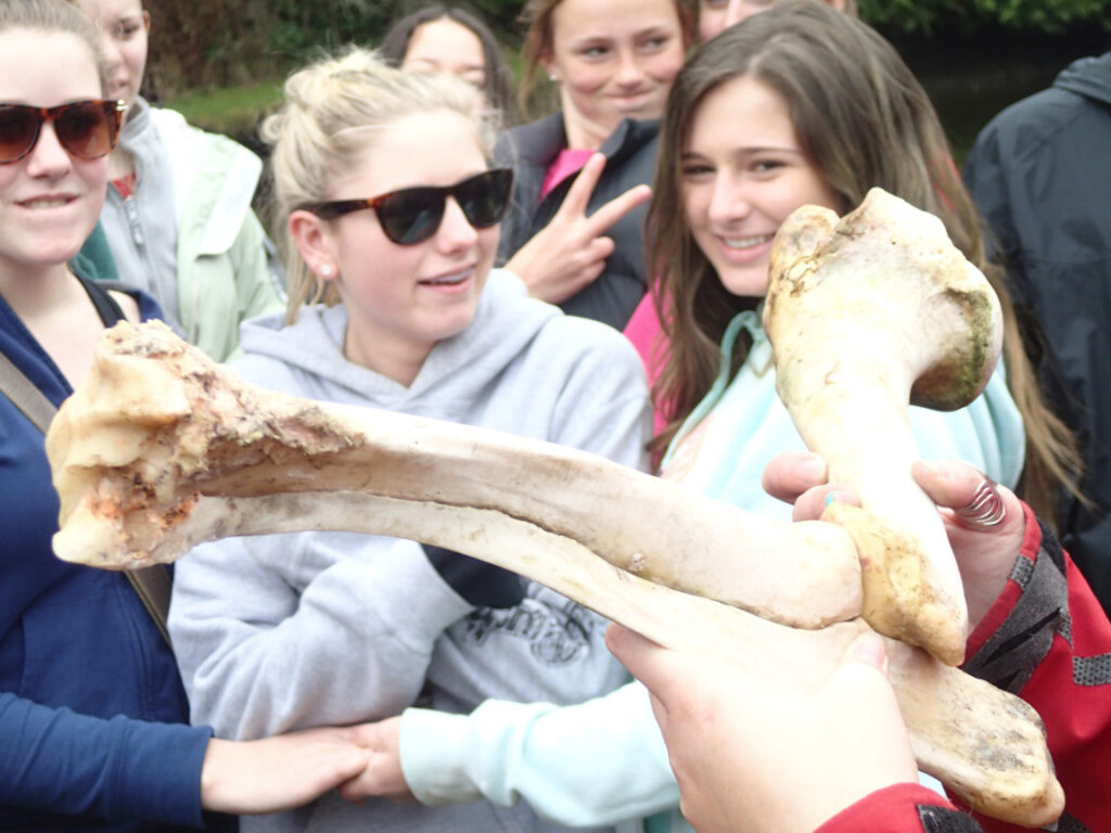 Mucking About at Goldstream